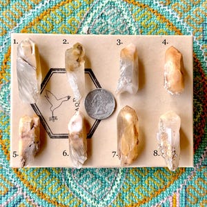 Orange Amphibole Phantom Quartz, Choose ONE of Eight, Bone Quartz, Connect with Guardian Angels, Pakistan S213