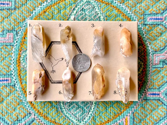 Orange Amphibole Phantom Quartz, Choose ONE of Eight, Bone Quartz, Connect with Guardian Angels, Pakistan S213