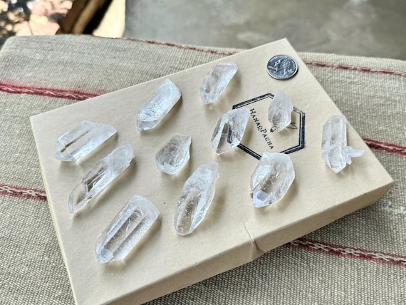 Starbrary Quartz Crystal Lot from Tomas Gonzaga Mine, 11 Pieces, Water Clear Quartz with Star Markings, Corinto, Minas Gerais, Brazil R664