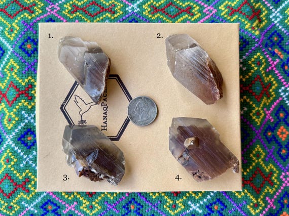 Black Phantom Selenite, Goethite Inclusion, Choose ONE of Four, La Platosa Mine, Bermejillo, Durango, Mexico A333