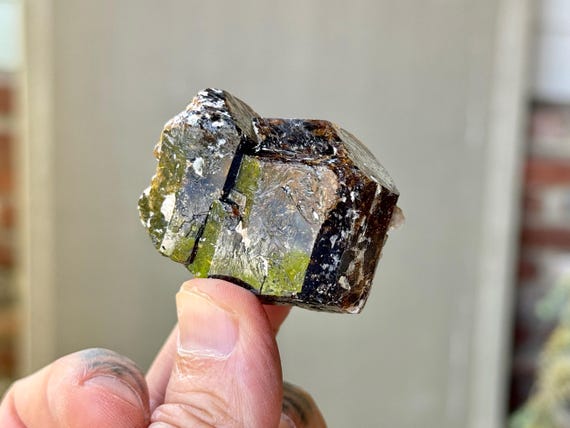 Dravite, Natural Root Beer Brown Tourmaline, Double Terminated, 78g, Root Chakra, Shadow Work, Shamanic Healing, Australia S556