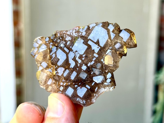 Smoky Elestial Jacare Quartz, 46g, New Find, Inner Truth & Manifestation, Aracuai, Minas Gerais, Brazil B242