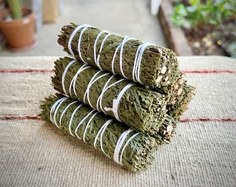 Cedar Smudge Bundle, 4" Size, ONE Cedar Smudge Stick, For Cleansing and Protection, All Natural Incense, Ethically Harvested