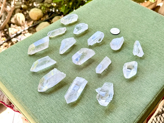 Starbrary Quartz Wholesale Lot, 15 Pieces (500g) of Hand Selected Water Clear Quartz with Extraterrestrial Star Markings, Brazil WS154