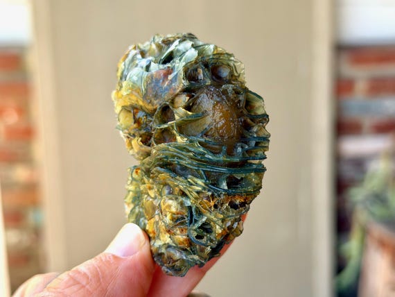 Black Mountain Gobi Agate, Fossilized Impressions, 103g, Naturally Formed, Earth & Water Energies, China B501