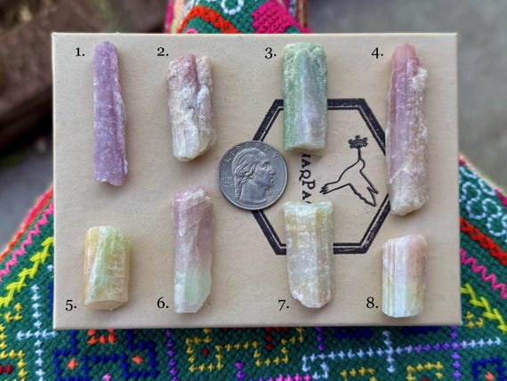 Bicolor Tourmaline, Green & Pink, Choose ONE of Eight, Arqueana Mine, Minas Gerais, Brazil A688