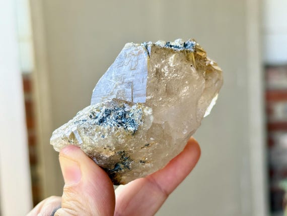 Smoky Quartz with Golden Rutile, 151g, Crystal for Conducting & Amplifying Energy, Bahia, Brazil V161