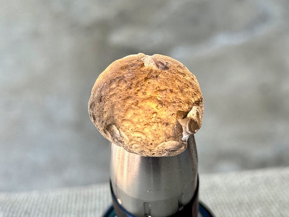 Colombianite, 21.2g, Natural Colombianite with Brilliant Translucency, Rare Find, Highest Vibration, Pseudotektite, Colombia R202