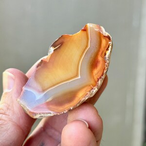 May include: A natural agate slice with a white, orange, and brown banded pattern. The agate is translucent and has a smooth, polished surface.