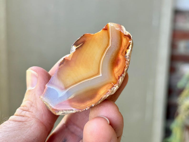 May include: A natural agate slice with a white, orange, and brown banded pattern. The agate is translucent and has a smooth, polished surface.