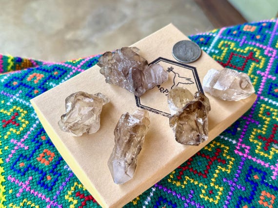 Elestial Smoky Quartz Lot, Scepter Formations, 5 Pcs, Aracuai, Brazil A365