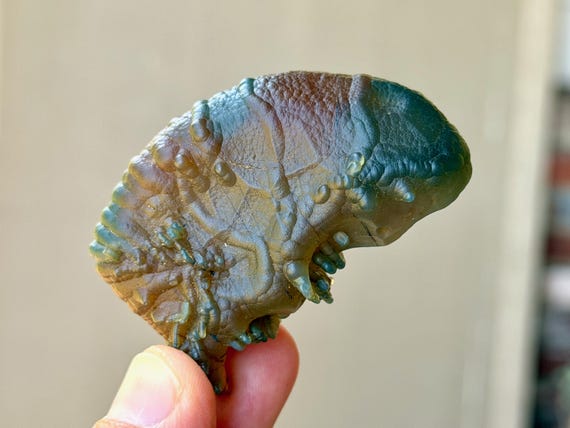 Black Mountain Gobi Agate, Fossilized Impressions, 73g, Naturally Formed, Earth & Water Energies, China B569