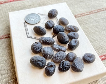 Colombianite, Museum Grade Colombianite, 2g - 5g Sizes, Rare Find, Pseudotektite, Valle del Cauca, Colombia C001