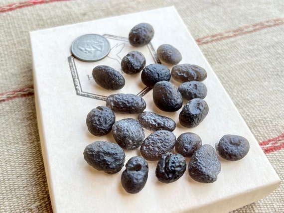 Colombianite, Museum Grade Colombianite, 2g - 5g Sizes, Rare Find, Pseudotektite, Valle del Cauca, Colombia C001