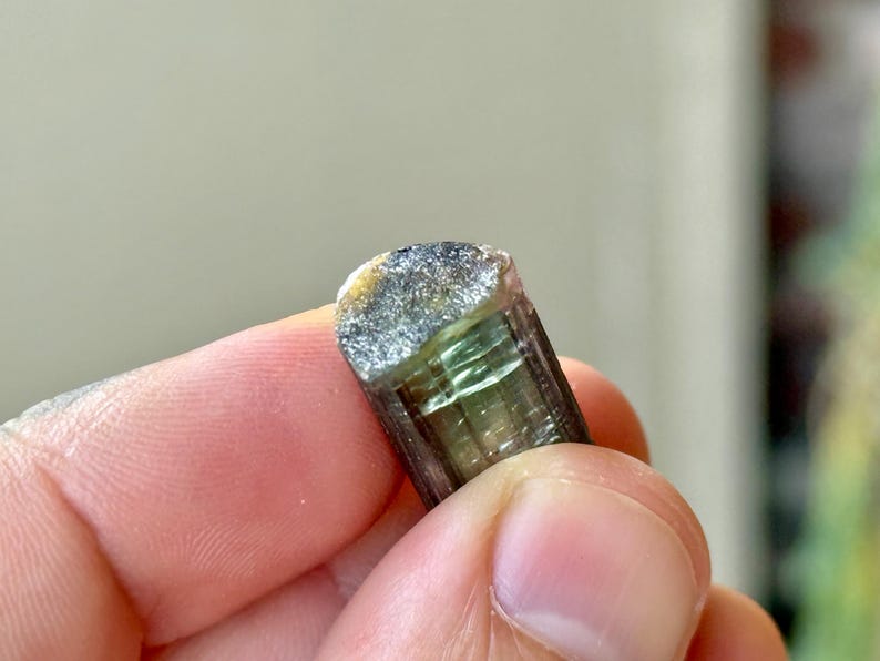 May include: A close-up of a raw, natural tourmaline crystal. The crystal is a cylindrical shape, with a dark brown base that transitions to a translucent green and a gray, textured top. The crystal is held in a person's hand.