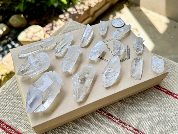 Starbrary Quartz Wholesale Lot, 15 Pieces (384g) of Hand Selected Water Clear Quartz with Extraterrestrial Star Markings, Brazil WS61