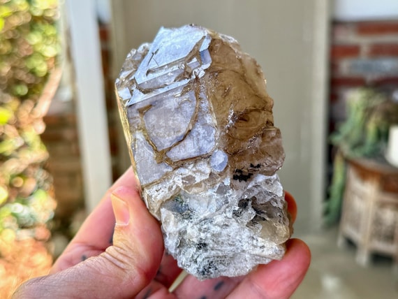 Elestial Smoky Jacare Quartz, Scepter Formation, 444g, Root Chakra & Manifestation, Aracuai, Minas Gerais, Brazil V416