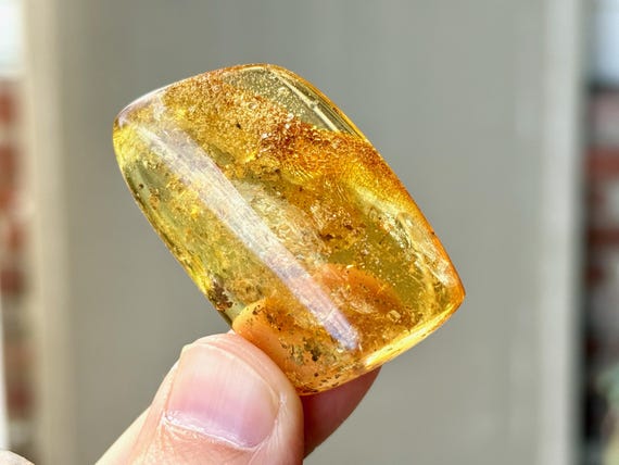 Copal Amber Crystal with Fossilized Plant Matter, 11g, Cycle of Life, Ancient Wisdom, Colombia A568