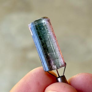 May include: A multi-colored tourmaline crystal, held by a metal tool. The crystal displays bands of blue, green, and pink hues. The gemstone is cylindrical and appears to be translucent, with visible internal structures. The background is blurred, emphasizing the crystal's details.