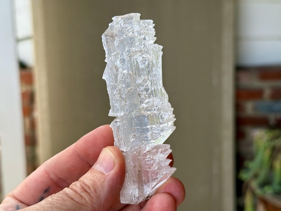Fishtail Selenite, Natural Angel Wing Formation, 82g, Purification & Energetic Cleansing, Mexico A657