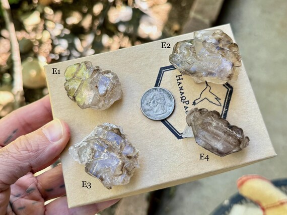 Elestial Smoky Quartz, Choose ONE of Four, Jacare Quartz, Aracuai, Minas Gerais, Brazil R896