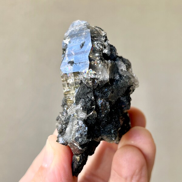 Schwarzer Samadhi Quarz mit schwarzem Turmalin, Himalaya Quarz, Höhenquarz, Pure Vibration, Indien K349