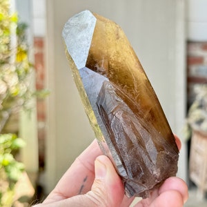 Pele's Dream Lemurian Quartz with Giant Time Link, Rare Find, Smoky Citrine Lemurian Quartz for Shadow Work, Cristalina, Goias, Brazil W081