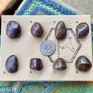 May include: Eight tumbled stones with a variety of purple and brown hues, numbered 1 through 8 on a brown card with the text "AQPACHA".