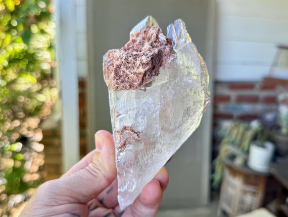 Durango Selenite, 439g, Highest Quality, Water-Clear Crystal for Purification and Energetic Cleansing, Bermejillo, Mexico W824