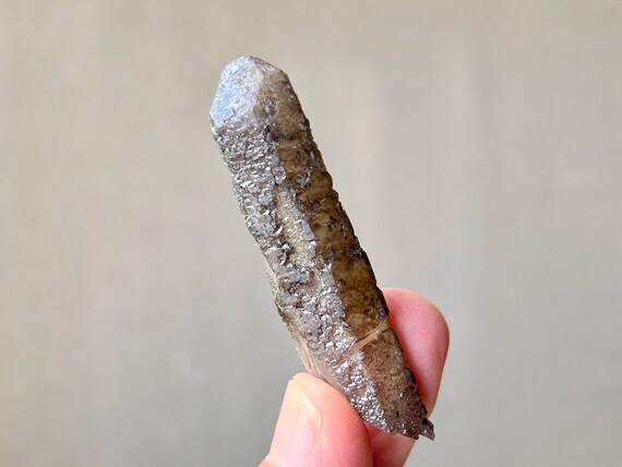 Smoky Quartz with Growth Interference, Hydrothermal Etchings, 16g, New Find, GIQ Crystal, Inner Mongolia P791