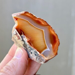 May include: A close-up of a rough, orange agate with white and brown banding. The agate is partially encased in its original rock matrix.