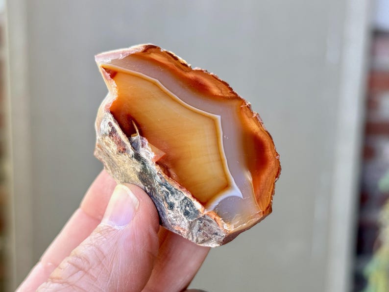 May include: A close-up of a rough, orange agate with white and brown banding. The agate is partially encased in its original rock matrix.