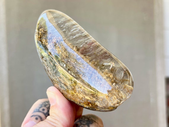 Golden Rutile Quartz Crystal Dome with Lodolite Inclusions, Large Rutilated Palm Stone, Conductor - Amplifier Crystal, Brazil X472