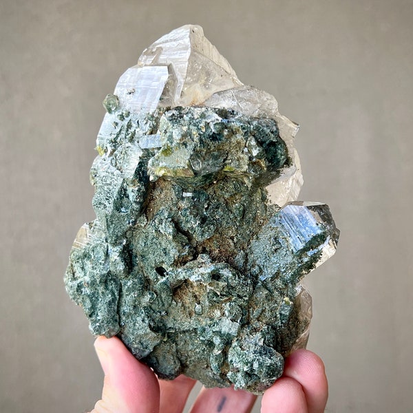Himalaya Quarz Kristall mit grünem Chlorit, Neues Fundstück, Höhenquarz, Herzheiler, Reinigung, Indien X041