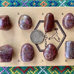 Könnte beinhalten: Acht polierte, rot-violette Edelsteine unterschiedlicher Form werden auf einer beigen Oberfläche neben einer Münze präsentiert. Die Edelsteine sind von 1 bis 8 nummeriert. Der Hintergrund ist ein grüner und mehrfarbiger Stoff. Das Wort "ARPACHA" ist sichtbar.