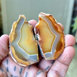 May include: Two pieces of agate, one with a light brown and white pattern and the other with a darker brown and white pattern. The agate is a natural stone with a smooth, polished surface.