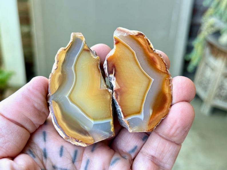 May include: Two pieces of agate, one with a light brown and white pattern and the other with a darker brown and white pattern. The agate is a natural stone with a smooth, polished surface.