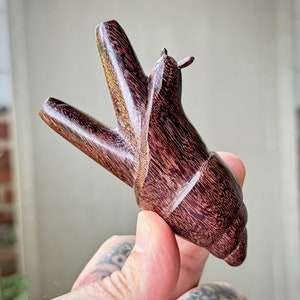 Snail Totem Kuripe, Solid Wood Single Block Kuripe, Hand Carved Dark Tamarind Wood Shamanic Applicator