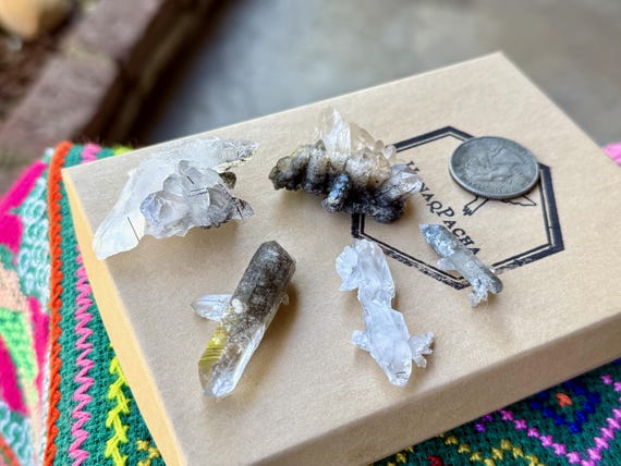 Black Tourmaline Quartz Lot, 5 pcs, Root Chakra, Cabo Saco Mine, Diamantina, Minas Gerais, Brazil A188