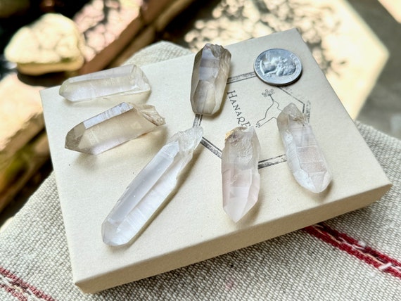 Smoky and Clear Lemurian Quartz Lot, 6 Pieces, New Find, Highest Quality, Serra do Cabral, Minas Gerais, Brazil P981