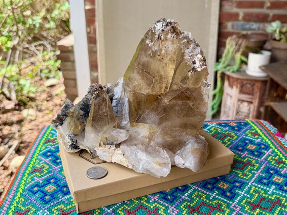 Citrine & Black Tourmaline, Self-Standing, 3.1 Kilo, All-Natural, Manifestation and Creativity, Minas Gerais, Brazil X984