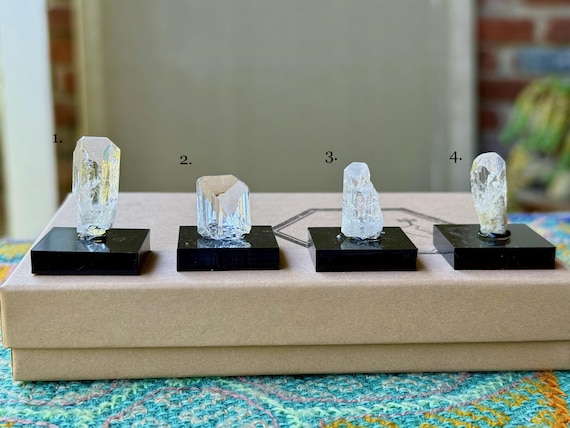 Danburite, High-Grade Crystals, Choose ONE of Four, Heart and Crown Chakra, Angelic Contact, San Luis Potosi, Mexico T135
