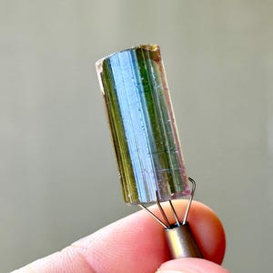 May include: A multi-colored tourmaline crystal with blue, green, and pink hues. The crystal is held by a metal tool with wire prongs. The gemstone is a natural mineral specimen.