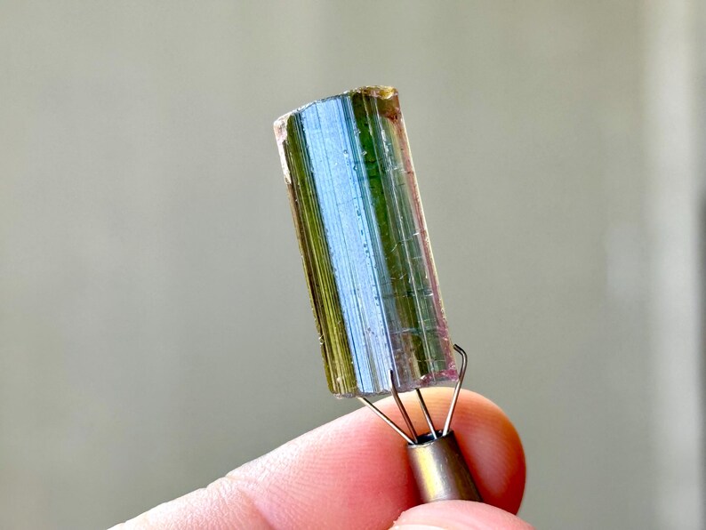 May include: A multi-colored tourmaline crystal with blue, green, and pink hues. The crystal is held by a metal tool with wire prongs. The gemstone is a natural mineral specimen.