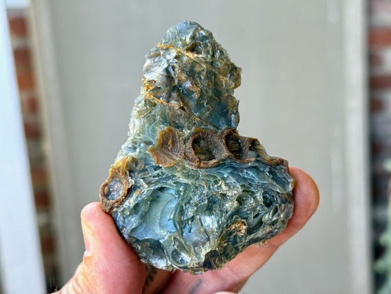 Black Mountain Gobi Agate, Agatized Fossil Coral, 84g, Naturally Formed, Earth & Water Energies, China A033