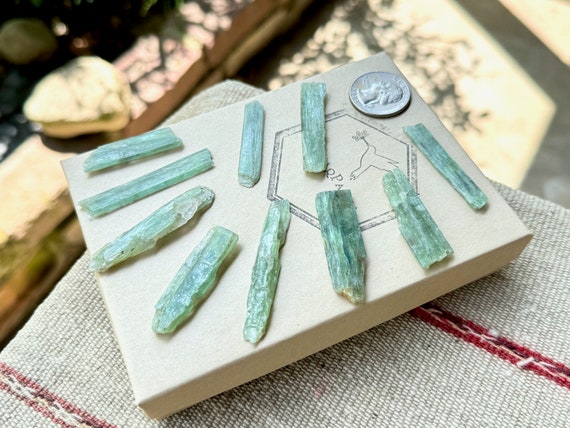 Green Kyanite Crystal Lot, 10 Pieces, Rare Find, Heart Chakra, Nature Spirits, Purification, Tanzania P980
