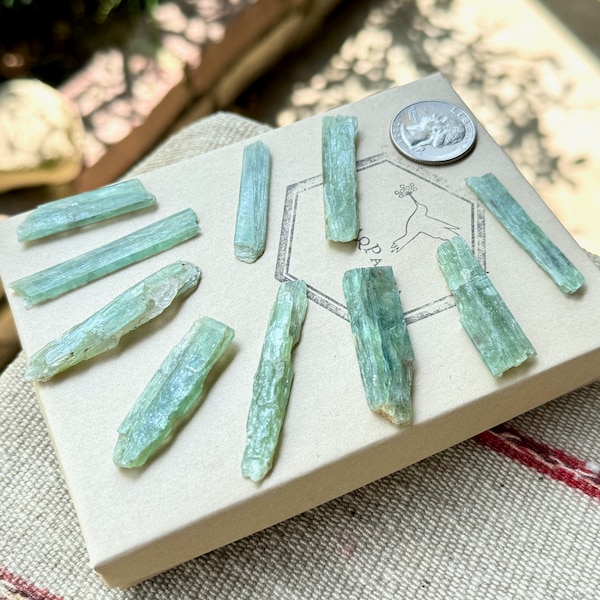 Green Kyanite Crystal Lot, 10 Pieces, Rare Find, Heart Chakra, Nature Spirits, Purification, Tanzania P980
