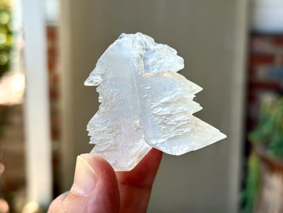 Fishtail Selenite, Natural Angel Wing Formation, 52g, Purification & Energetic Cleansing, Mexico A609