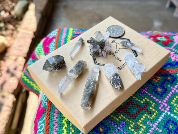 Black Tourmaline Quartz Lot, 8 pcs, Root Chakra, Cabo Saco Mine, Diamantina, Minas Gerais, Brazil A282
