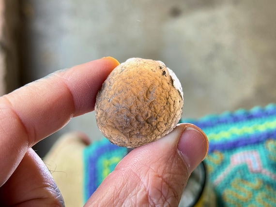 Colombianite, 21g, Highest Vibration Pseudotektite with Translucency, Rare Find, Colombia S029